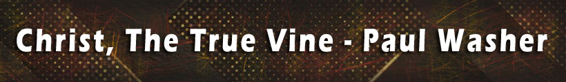 Christ, The True Vine